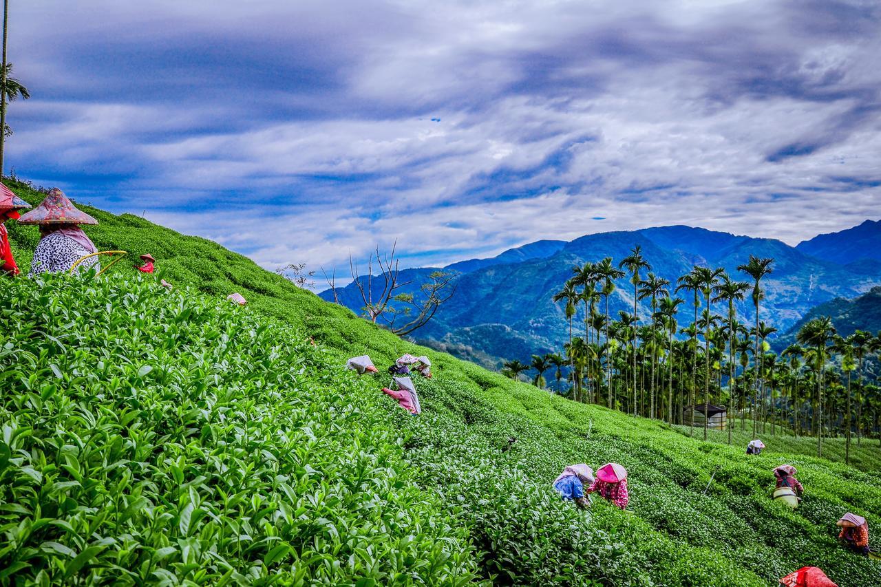 Look Tea House Apartment Meishan ภายนอก รูปภาพ